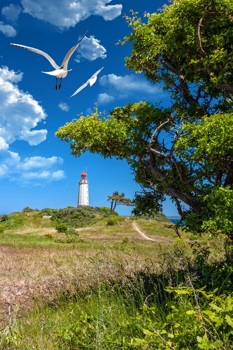 Fototapete Küste Leuchtturm und Möwen