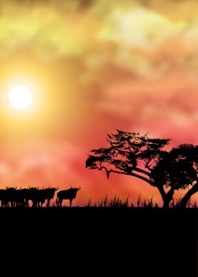 Landschaft Afrika mit Savanne
