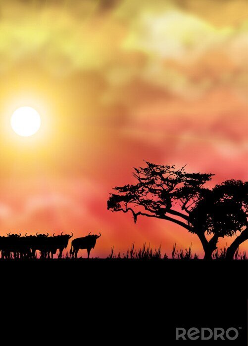 Fototapete Landschaft Afrika mit Savanne