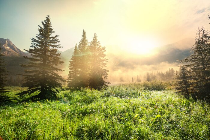 Fototapete Landschaft der Bergwiesen