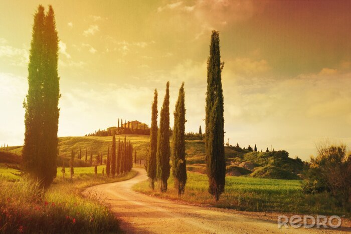 Fototapete Landschaft der Toskana auf der künstlerischen Fotografie
