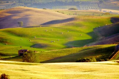 Fototapete Landschaft der toskanischen Felder