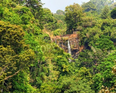 Fototapete Landschaft des Dschungels mit Wasserfall