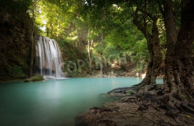 Fototapete Landschaft des Dschungels und Wasserfalls