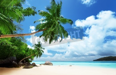 Fototapete Landschaft des tropischen Strandes