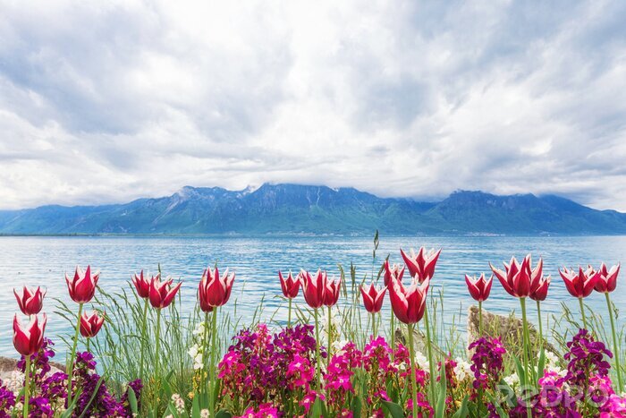 Fototapete Landschaft mit Blumen