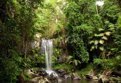 Fototapete Landschaft mit Dschungels Wasserfall