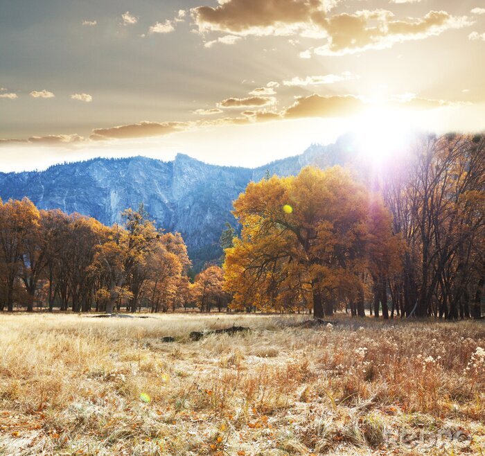 Fototapete Landschaft mit einem Herbstpark