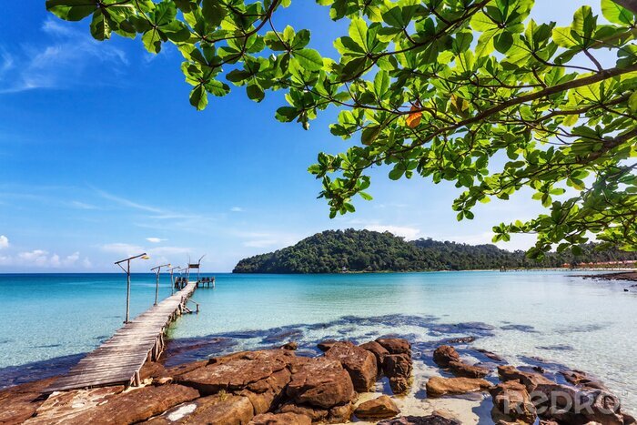 Fototapete Landschaft mit einem Holzsteg