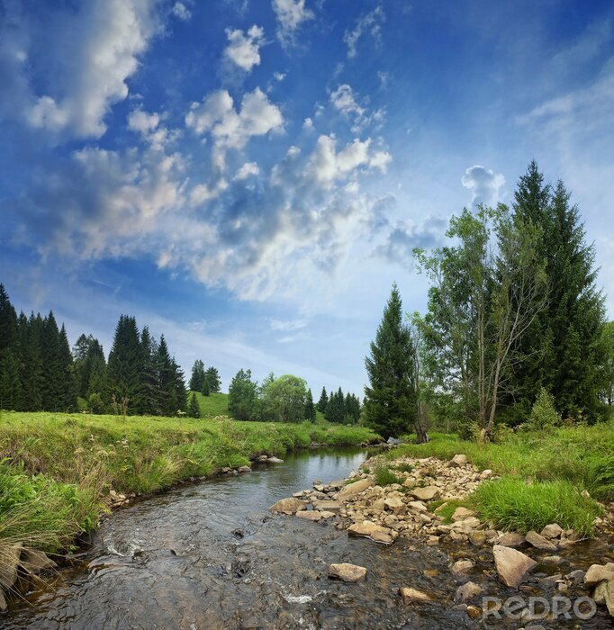 Fototapete Landschaft mit einem schönen Berg-Fluss