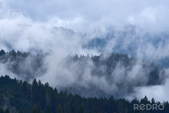 Fototapete Landschaft mit einem wald hinter den wolken