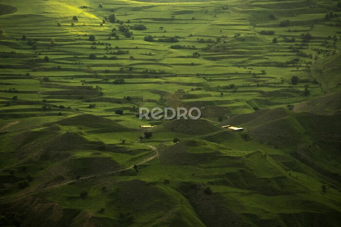 Fototapete Landschaft mit grünen Feldern