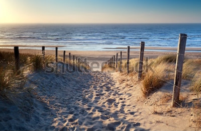 Fototapete Landschaft mit Meer