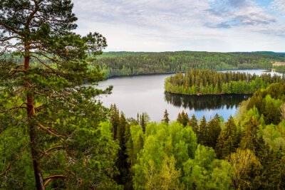 Landschaft mit See in Finnland