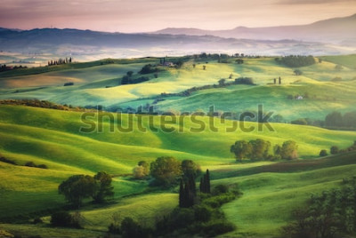Fototapete Landschaft von grünen Feldern