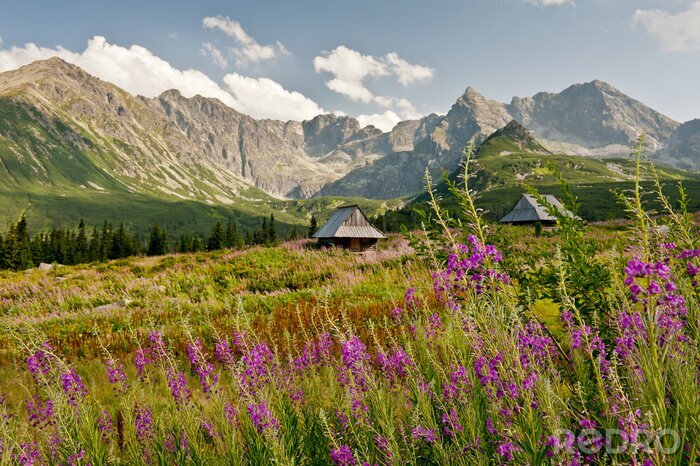 Fototapete Landschaft von Hala Gąsienicowa