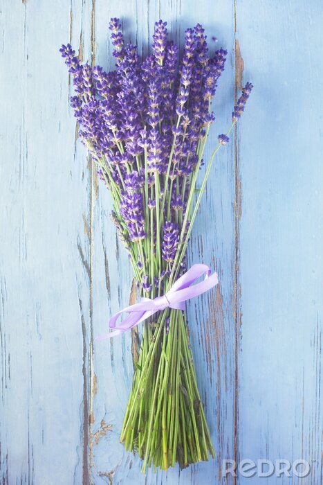 Fototapete Lavendel auf Holz in blauer Farbe