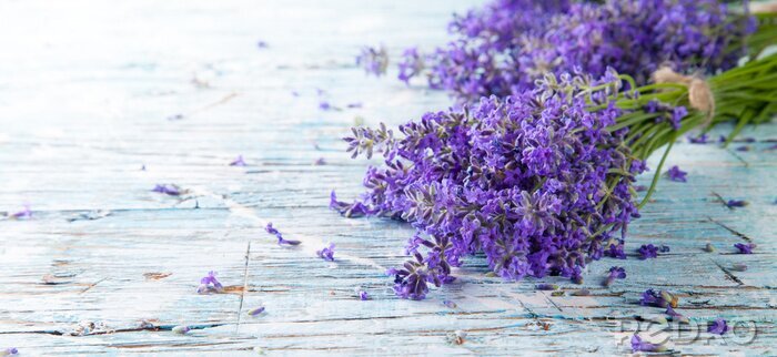 Fototapete Lavendel auf rustikalen Brettern