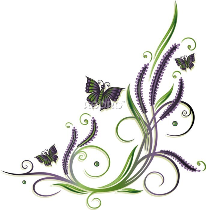 Fototapete Lavendel, Ranke, flora, filigran, Blumen, Schmetterlinge