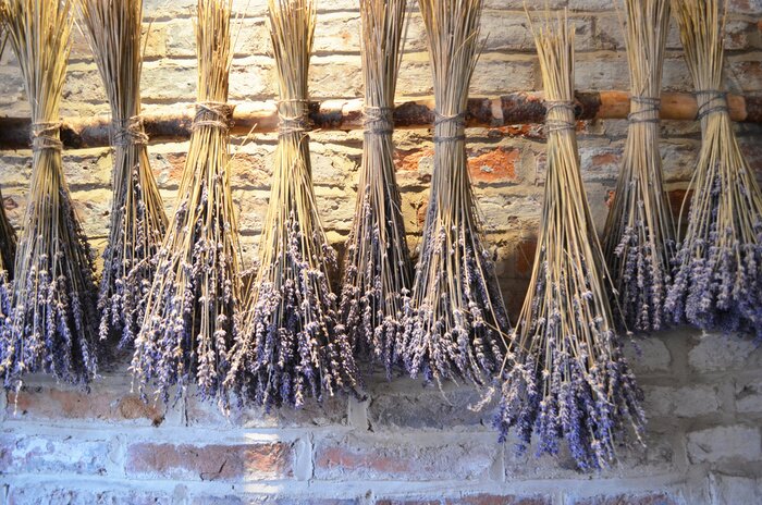 Fototapete Lavendel vor dem Hintergrund alter Backsteine
