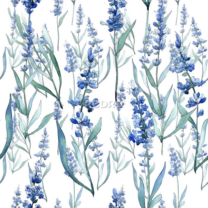 Fototapete Lavendel wilde Blumen mit Aquarellfarben gemalt