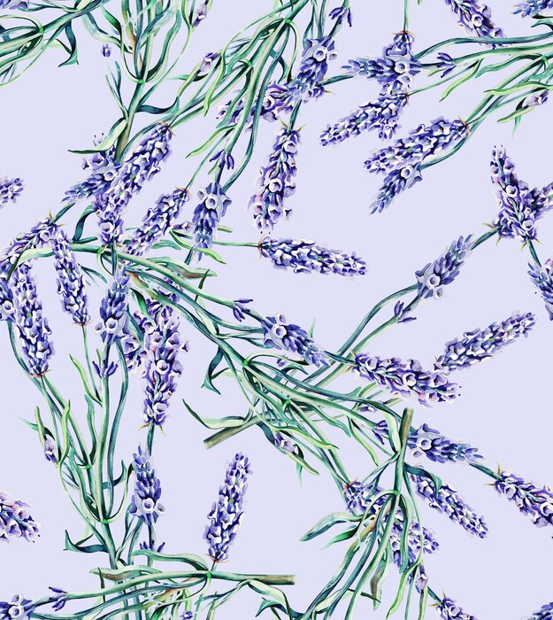 Fototapete Lavendelblüten auf violettem Hintergrund