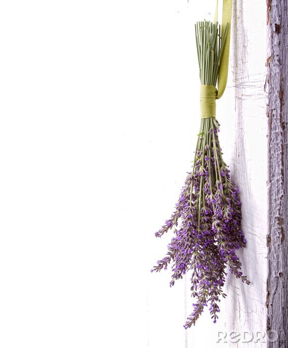 Fototapete Lavendelbouquet herunter gehängt