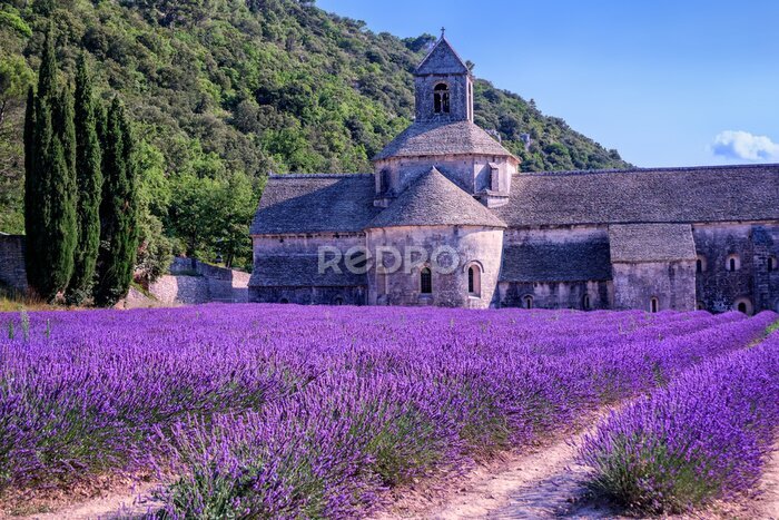 Fototapete Lavendelfelder im Kloster Senanque, Provence, Frankreich