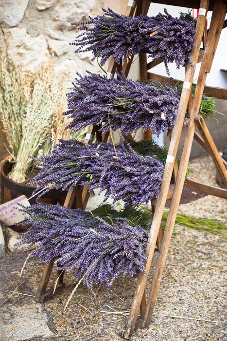 Fototapete Lavendelsträuße auf der Leiter