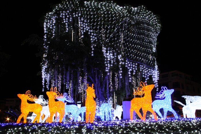 Fototapete LED Baum mit Tierfiguren