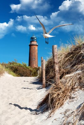 Fototapete Leuchtturm an der Küste und Möwe