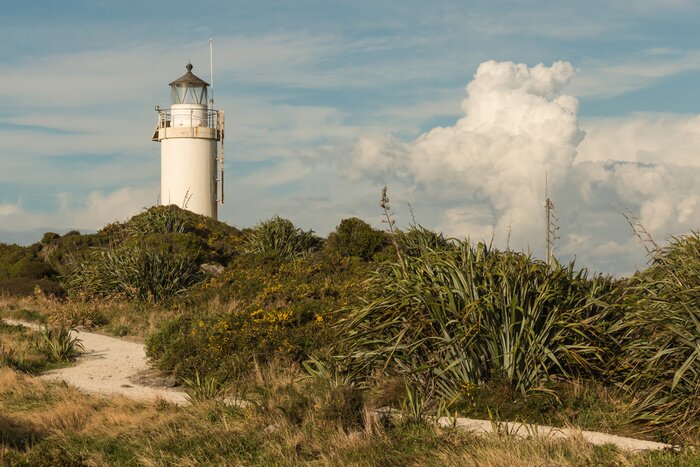 Fototapete Leuchtturm auf grünen Dünen