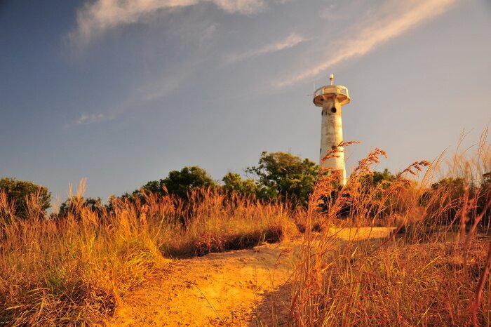 Fototapete Leuchtturm inmitten von Pflanzen