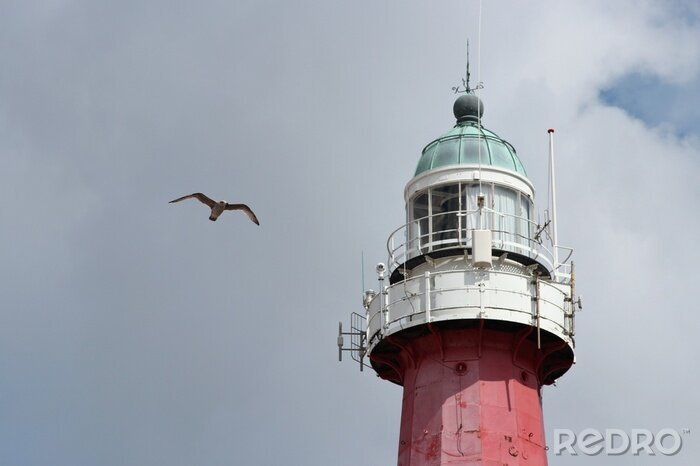 Fototapete Leuchtturm mit fliegender Möwe