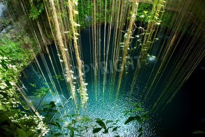 Fototapete Lianen am See im Dschungel