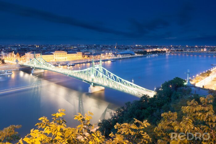 Fototapete Liberty Bridge beleuchtet