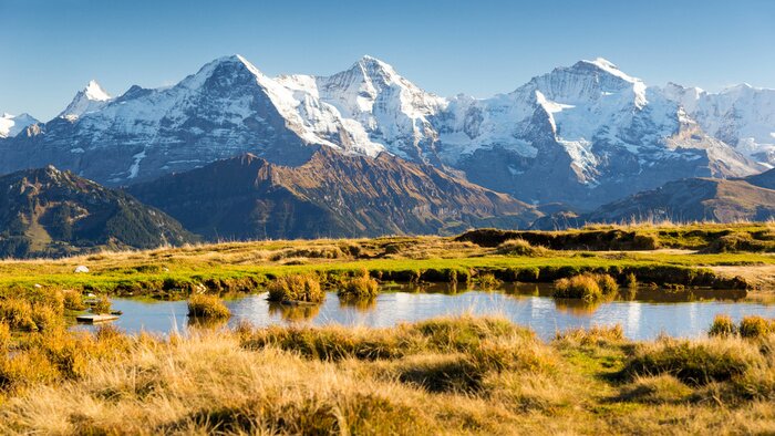 Fototapete Lichtung und Berge im Schnee