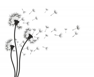 Fototapete Löwenzahn.