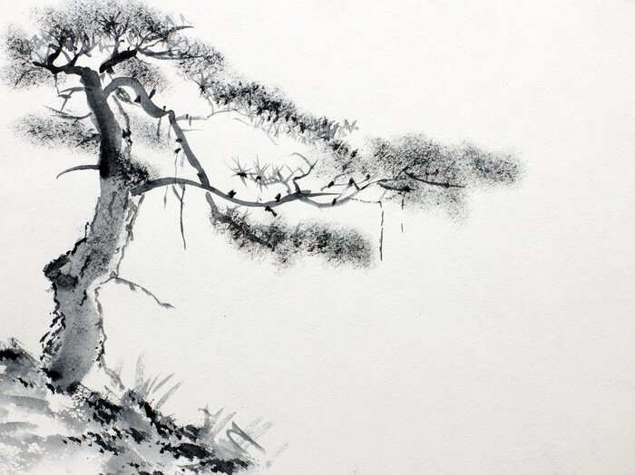 Fototapete Lone Pine