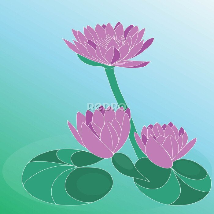 Fototapete Lotus-Blume. Hand gezeichnet Vektor-Kunst