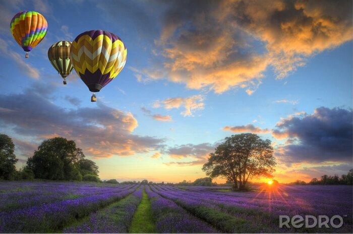 Fototapete Luftballons über der provenzalischen Landschaft