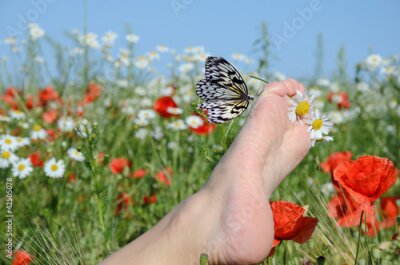 Fototapete Mädchenfuß mit Schmetterling auf Sommerwiese