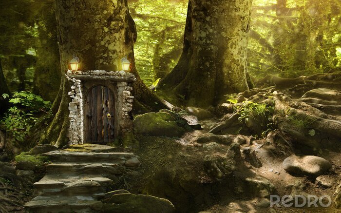 Fototapete Magischer Eingang im Wald Fantasy