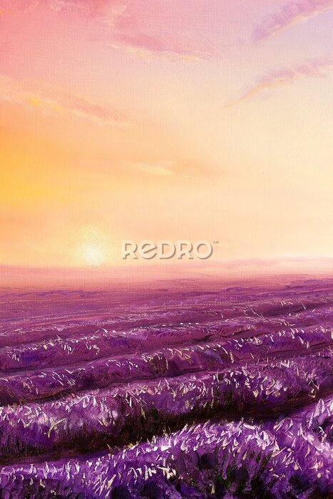 Fototapete Magischer Sonnenuntergang über dem Lavendelfeld