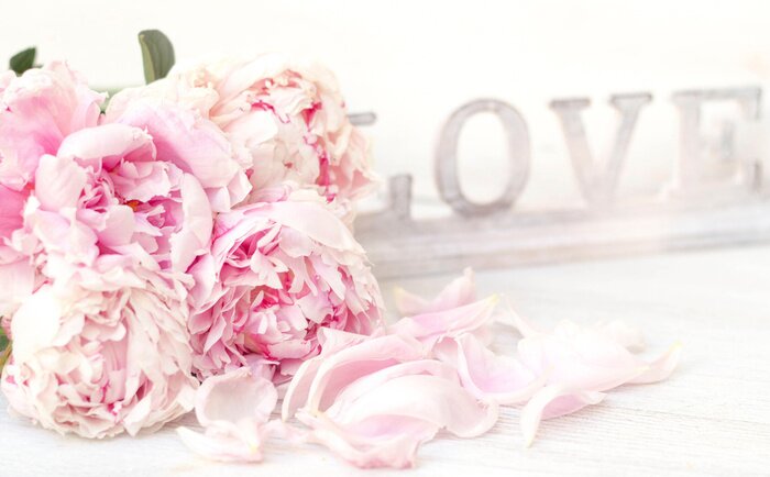 Fototapete Magnolie mit der Inschrift love im Hintergrund