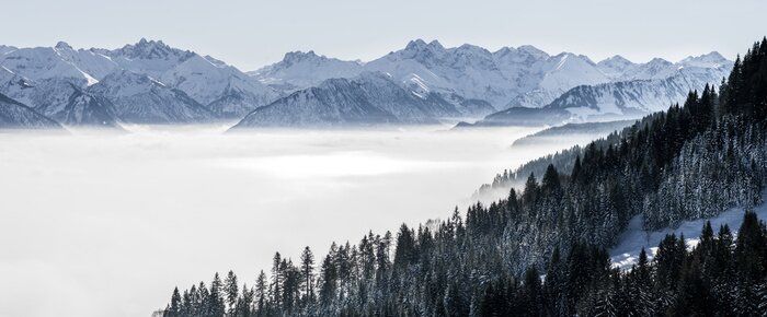 Fototapete Majestätische berggipfel und wälder