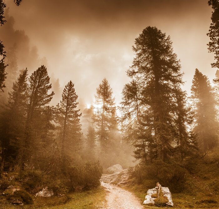 Fototapete Majestätische sepia-bäume