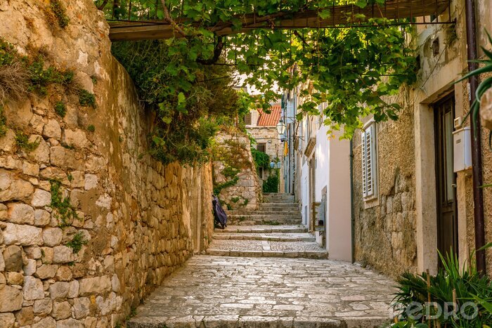 Fototapete Malerische Gasse mit Treppen in Dubrovnik