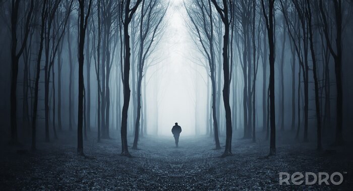 Fototapete Mann in einem dunklen Wald