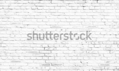 Fototapete Mauer mit weißen Backsteinen